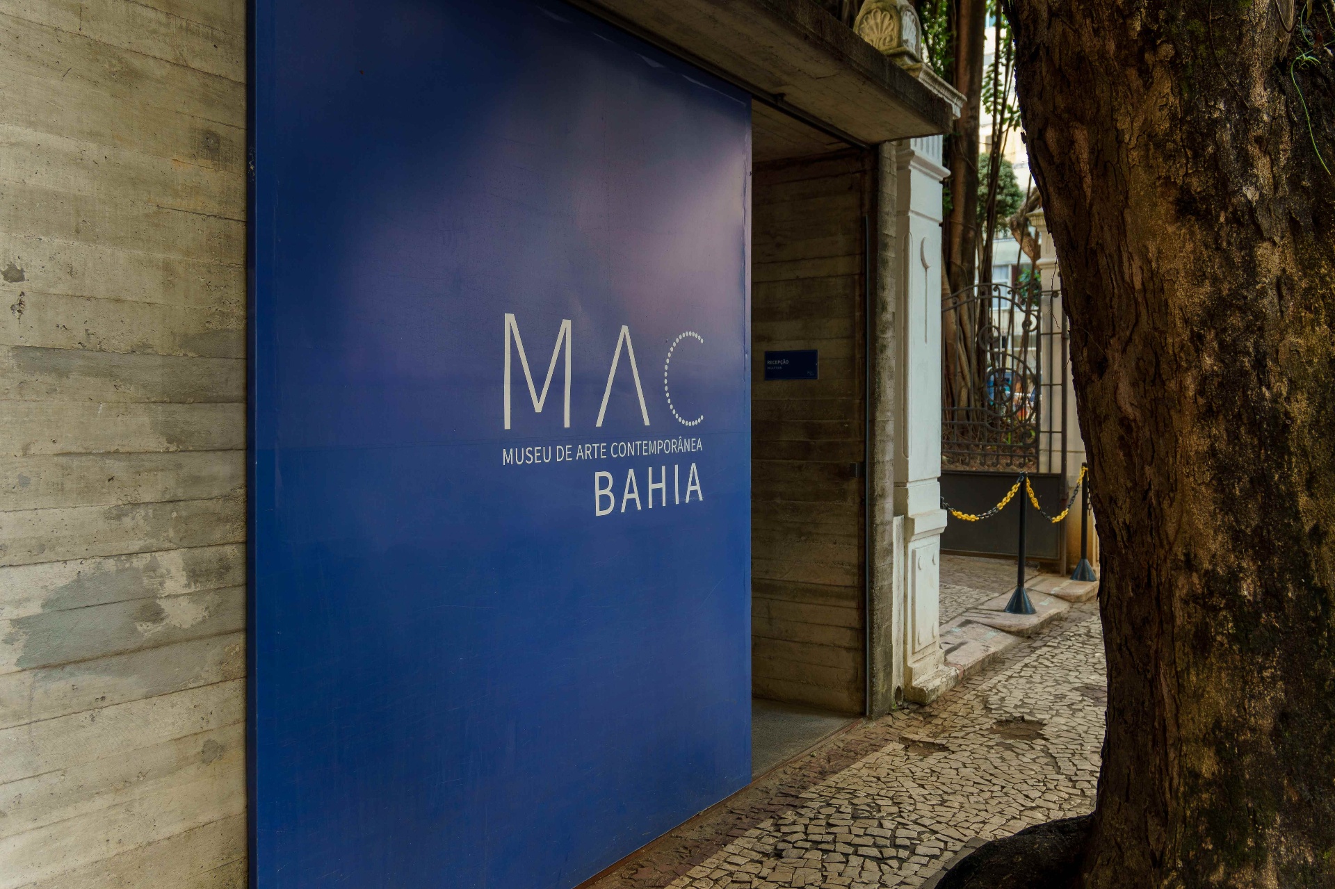 Cultura próxima — MAC Bahia